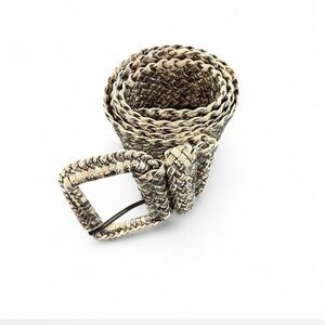Woven Metallic Belt
